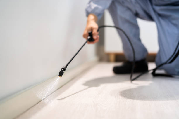 Rodent Entry Point Assessment in New Market