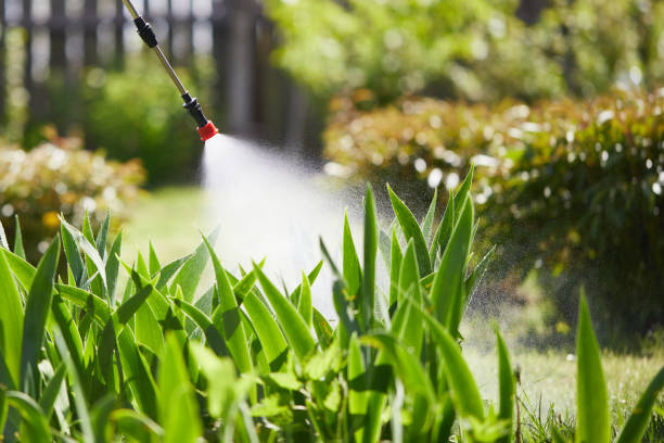 Tamper-Resistant Bait Stations for Rodents in New Market