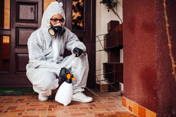 Attic and Crawl Space Rodent Treatment in New Market